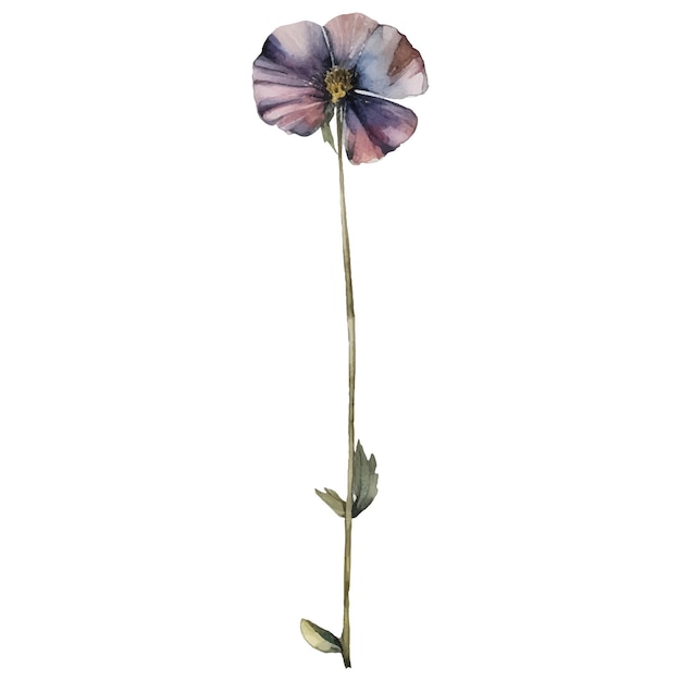 Ilustración de flores pintadas con acuarela vectorial Elementos de diseño de flores dibujados a mano aislados sobre fondo blanco