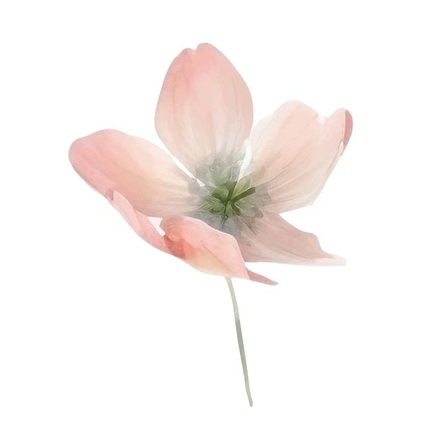 Ilustración de flores pintadas a mano en acuarela Elementos de decoración floral aislados sobre un fondo blanco