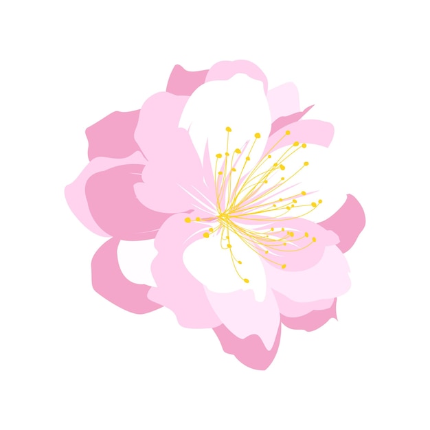 Ilustración de flores de primavera dibujada a mano en el blanco