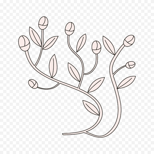 Ilustración de flores de primavera dibujadas a mano Ilustración floral