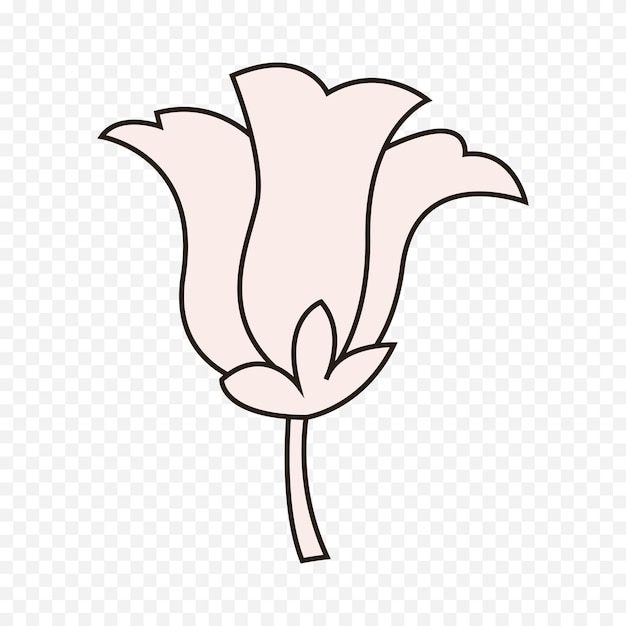 Ilustración de flores de primavera dibujadas a mano Ilustración floral