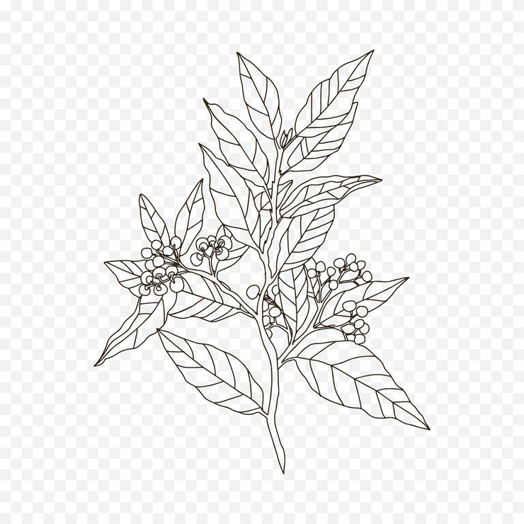 Vector ilustración de flores de primavera dibujadas a mano ilustración floral