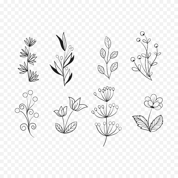 Ilustración de flores de primavera dibujadas a mano Ilustración floral