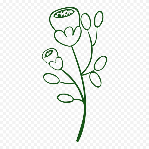 Ilustración de flores de primavera dibujadas a mano Ilustración floral