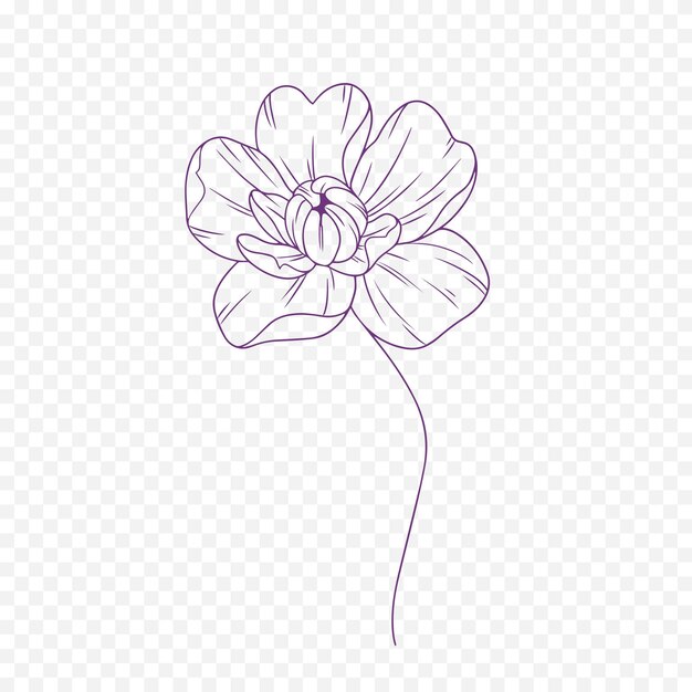 Ilustración de flores de primavera dibujadas a mano Ilustración floral