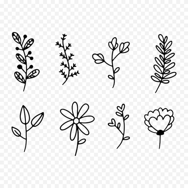 Ilustración de flores de primavera dibujadas a mano Ilustración floral
