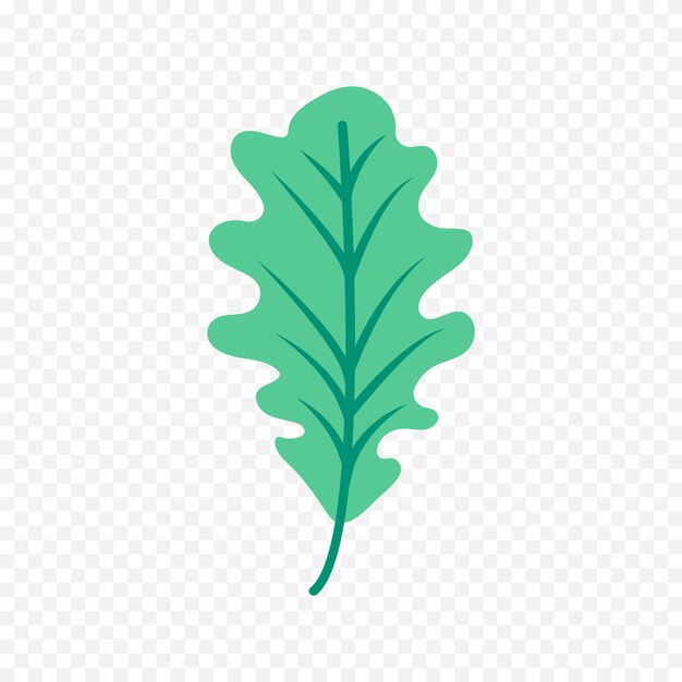 Ilustración de flores de primavera dibujadas a mano Ilustración floral