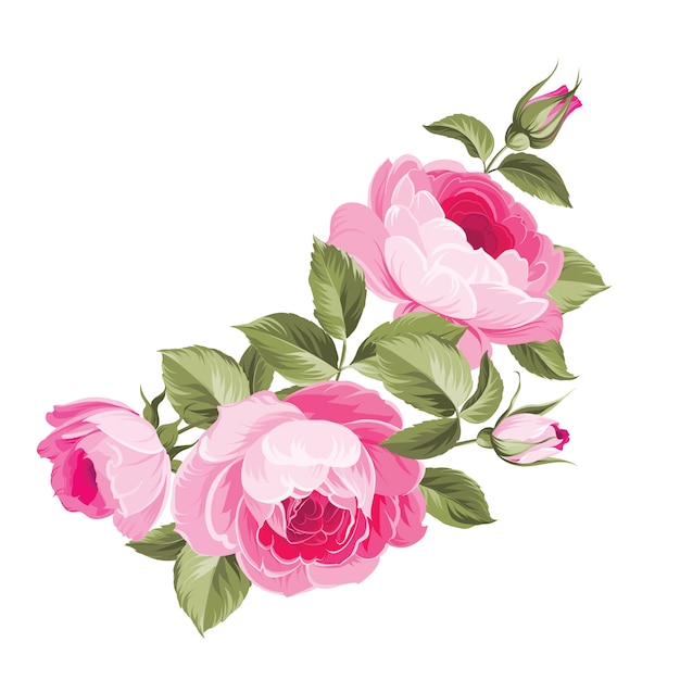 Ilustración de flores rosadas