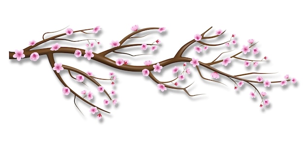 ilustración de flores de sakura. rama de flor de cerezo