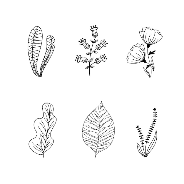 Ilustración de flores tropicales