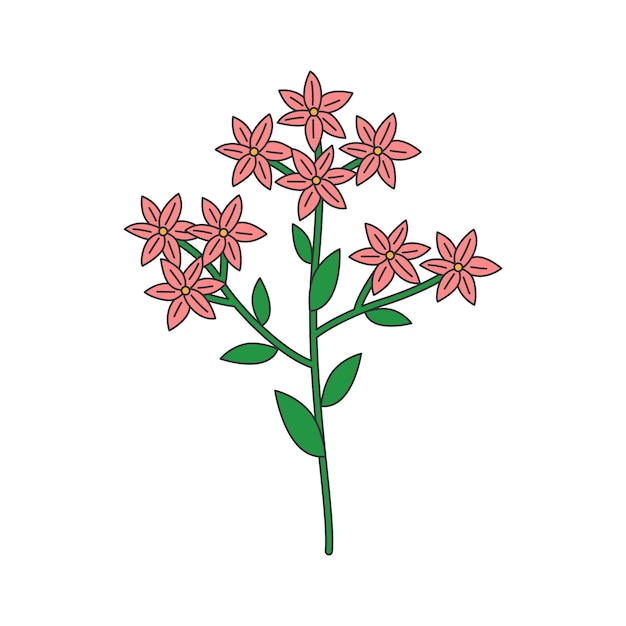 Ilustración de las flores