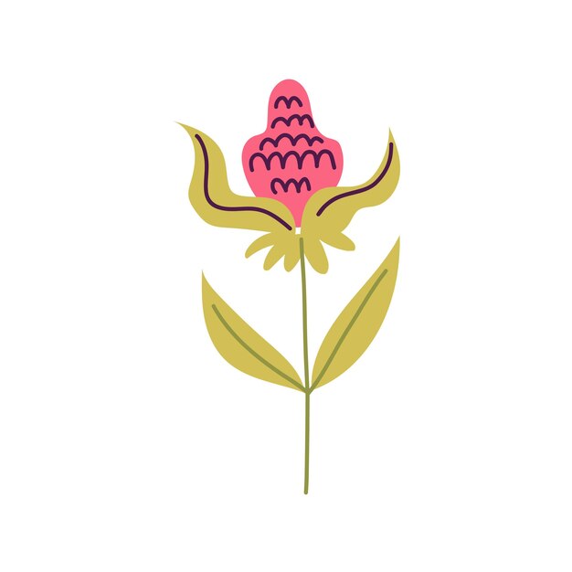 Ilustración de las flores