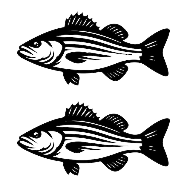 Ilustración del fondo blanco aislado9
