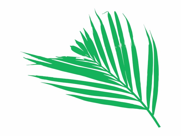 Ilustración de fondo de las hojas verdes tropicales