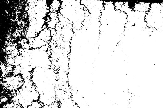Ilustración de fondo monocromo abstracto Patrón de textura blanco y negro con manchas y grietas