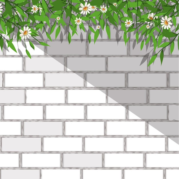 Ilustración de fondo de pared y planta