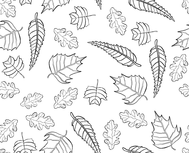 Ilustración y fondo transparente de patrón de hojas de otoño