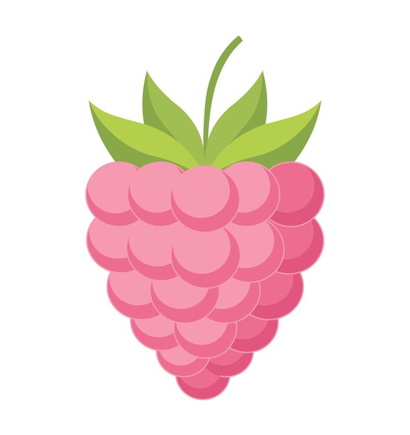 Ilustración de la frambuesa de la fruta