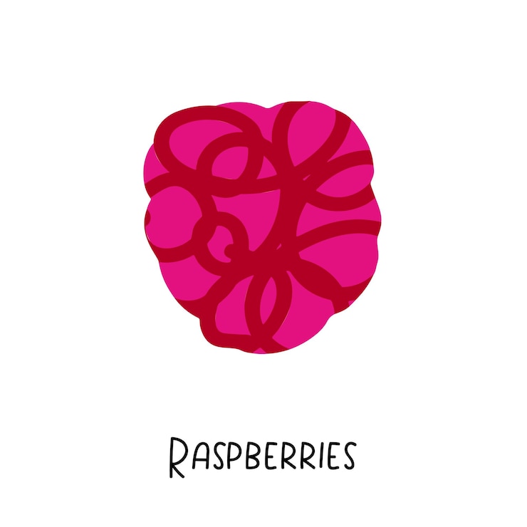 Vector ilustración de frambuesas con textura aislada sobre fondo blanco