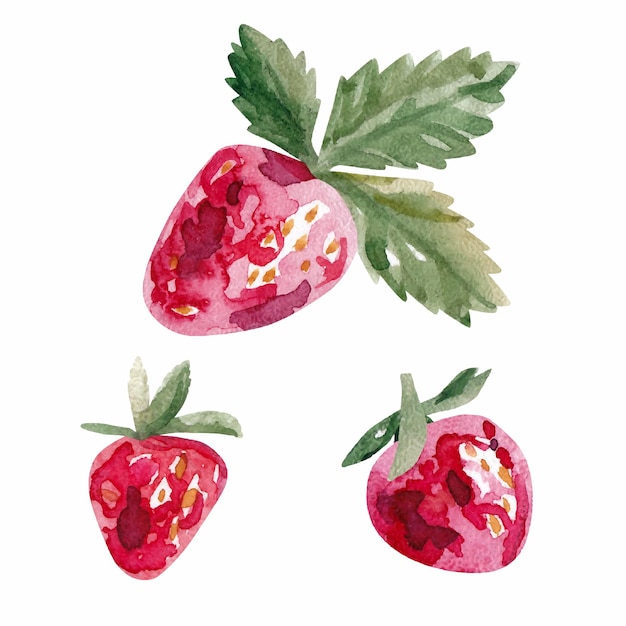 Ilustración de fresas