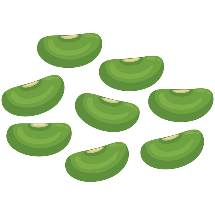 Vector ilustración del frijol mung