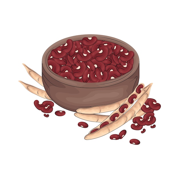 Ilustración de frijol rojo