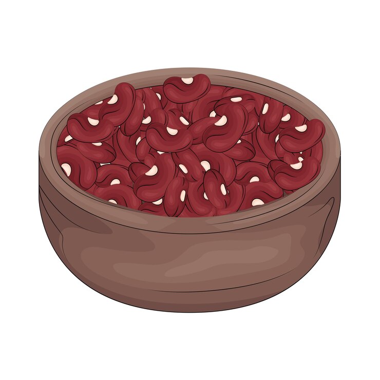 Vector ilustración de frijol rojo
