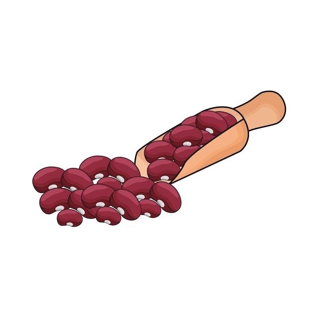 Ilustración de frijol rojo