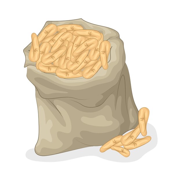Ilustración de un frijol