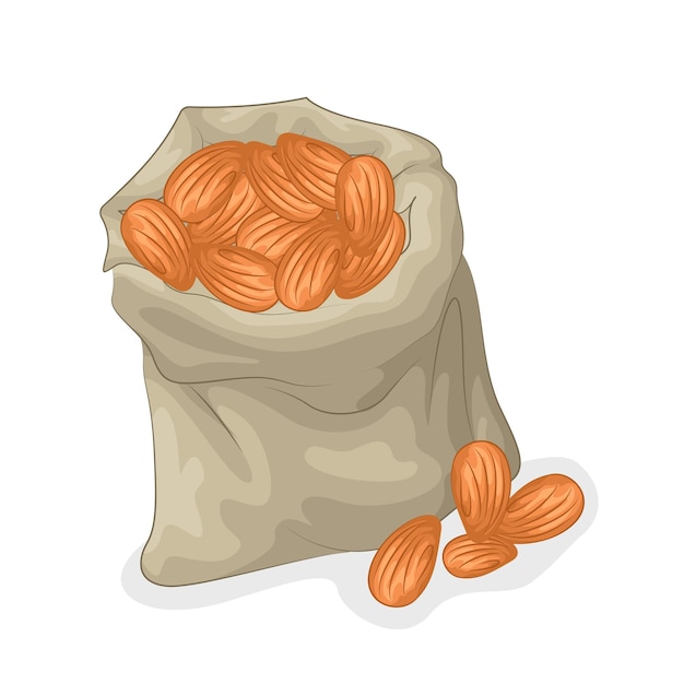 Ilustración de un frijol