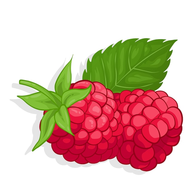 Ilustración de fruta dulce de frambuesa para web aislado sobre fondo blanco diseño creativo