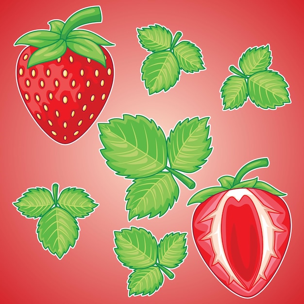 Vector ilustración de fruta fresa