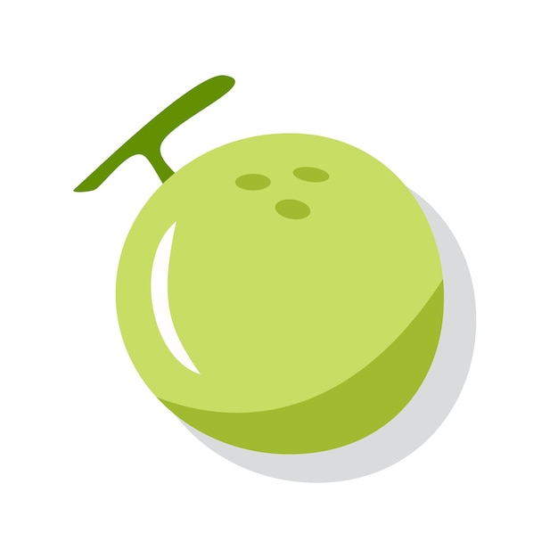 Ilustración de la fruta fresca del melón Producto agrícola Fruta entera Fruta vectorial