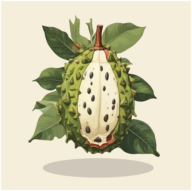 Ilustración de una fruta de guisante 06