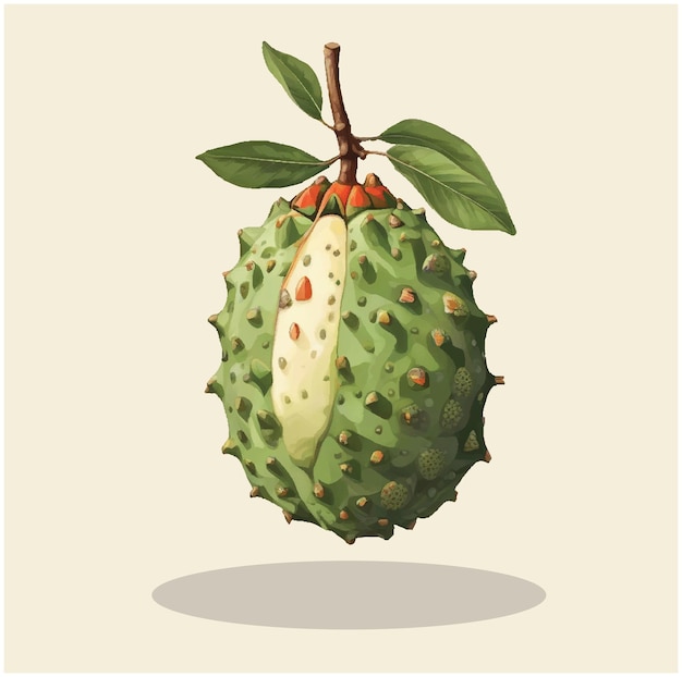 Vector ilustración de una fruta de guisante 07