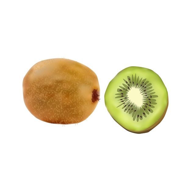Ilustración de la fruta del kiwi en fondo blanco vol 01