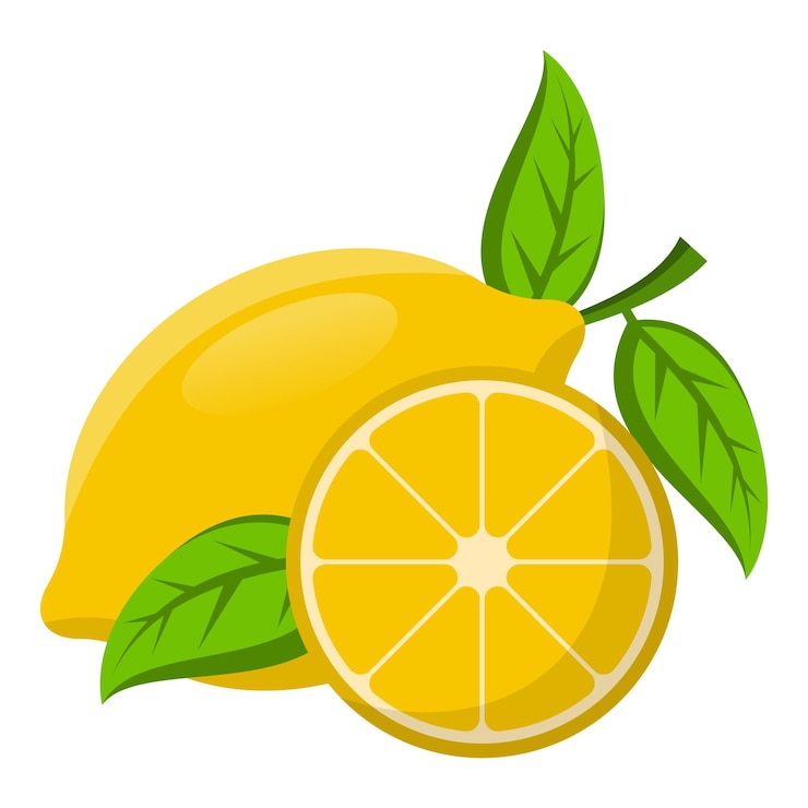 Vector ilustración de la fruta del limón