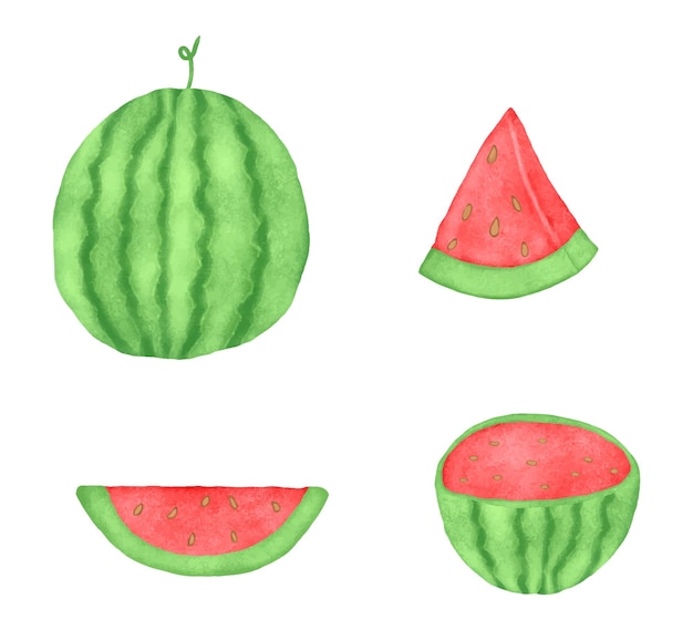 Ilustración de fruta de sandía acuarela