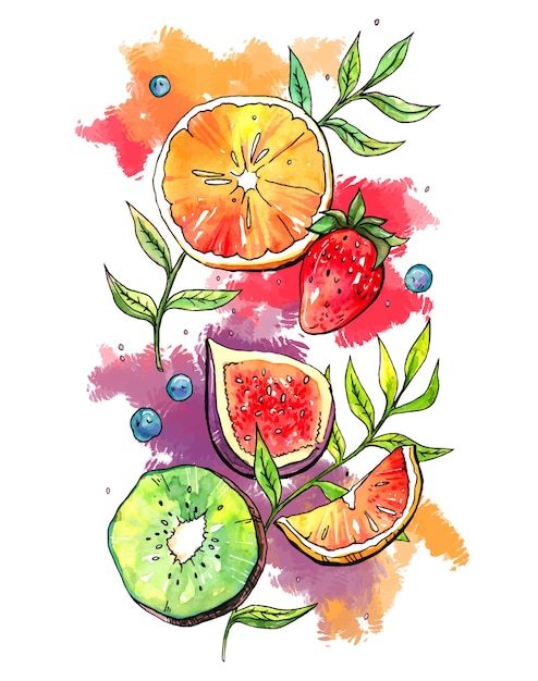 Ilustración de fruta de verano jugosa en acuarela. Naranja, fresa, higo, kiwi, arándano, ramitas verdes y toques de acuarela brillantes