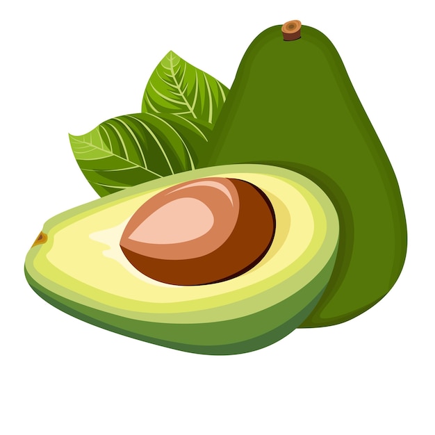 Ilustración de las frutas del aguacate