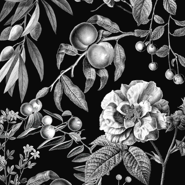 Ilustración de frutas y botánica blanco y negro de vector de patrón de rosa vintage