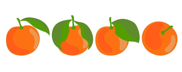 Vector ilustración de frutas cítricas estados unidos fondo blanco frutas cístricas limón naranja