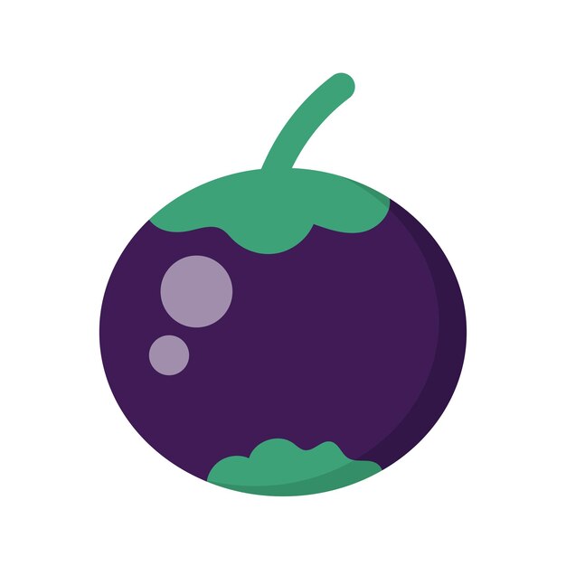 Ilustración de frutas frescas sobre un fondo blanco Ilustración del fruto del mangostán