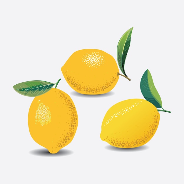 Ilustración de frutas de limón aislado Vector EPS