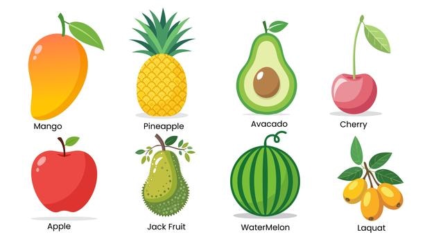 Ilustración de frutas mango manzana cereza loquat sandía aguacate jack fruta piña vector