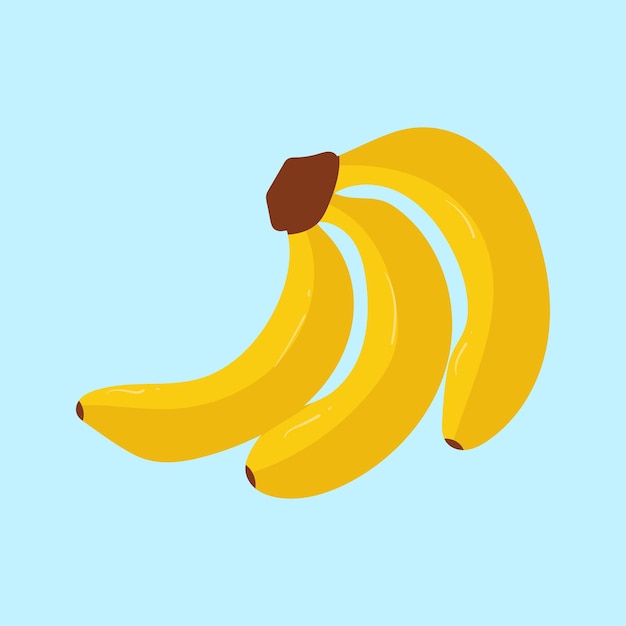 Ilustración de frutas tropicales locales