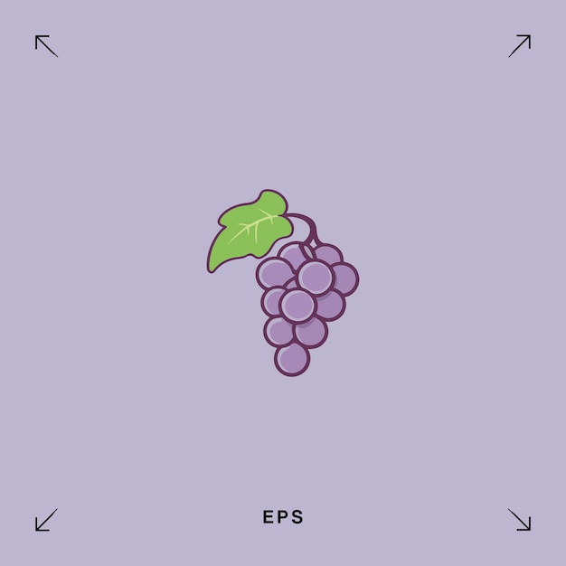 Ilustración del fruto de un racimo de uvas púrpuras
