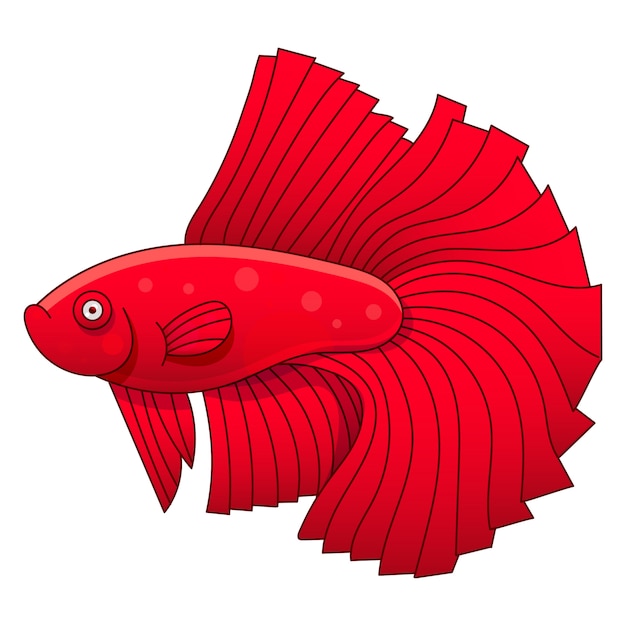 Vector ilustración de gallo de peces de acuario para niños y adultos