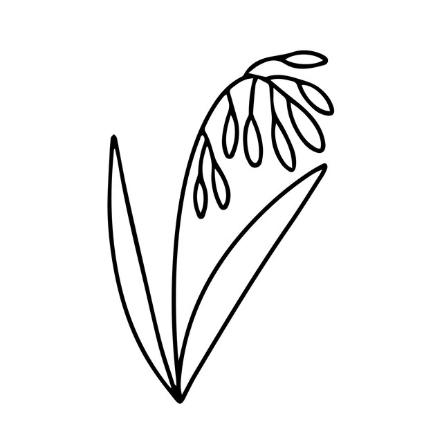 Ilustración de garabato de lirio de los valles dibujado a mano Dibujo de vector de flor de lirio de los valles de Doodle