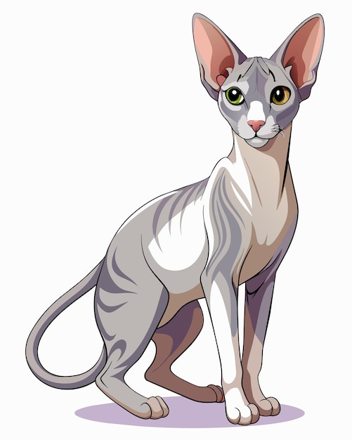 Ilustración de un gato Esfinge de pie sobre un fondo blanco